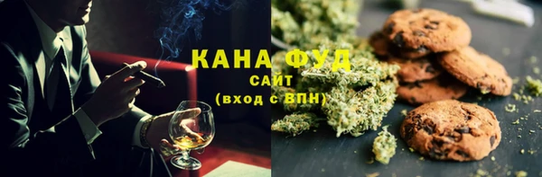 первитин Новодвинск