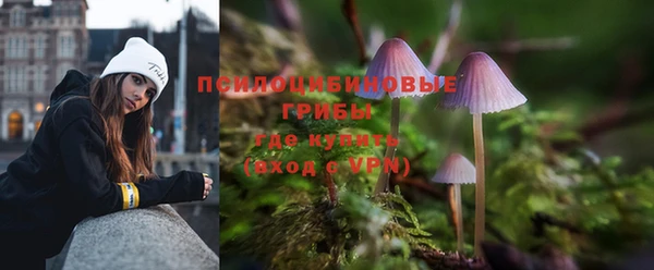 прущая мука Новозыбков