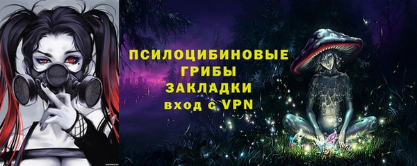 ешки Новокубанск