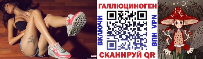 Галлюциногенные грибы Psilocybe Спасск-Рязанский